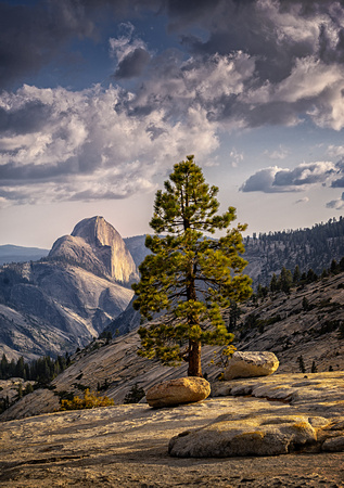 Lone Pine and Half Dome