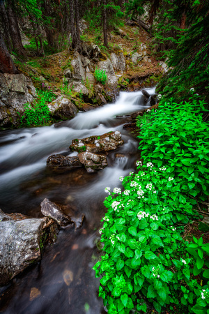 Spur Creek, CO