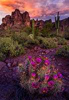 Superstition Spring