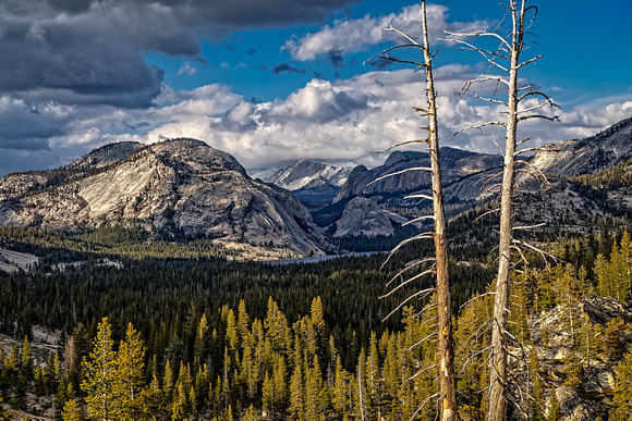 Clouds Rest, Yosemite NP