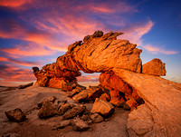 Dinosaur Arch