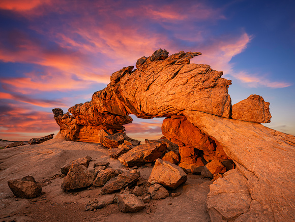 Dinosaur Arch