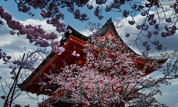 Pagoda Blossoms