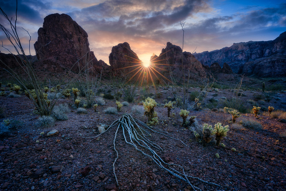 Kofa Sunrise