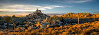 Joshua Tree Sunset