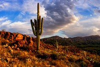 Apache Trail, AZ