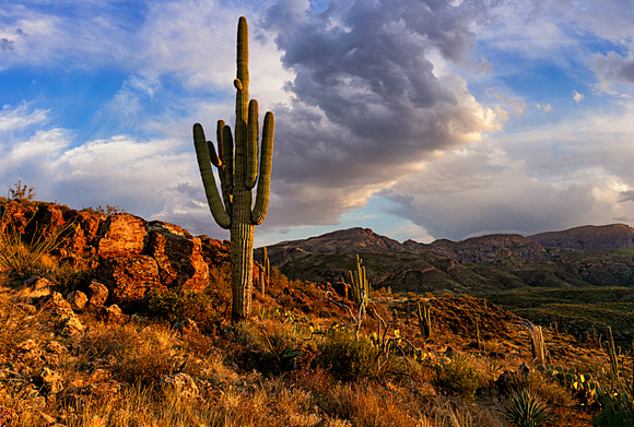 Apache Trail, AZ