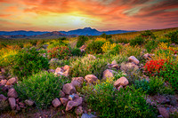 Lost Dutchman State Park, Arizona