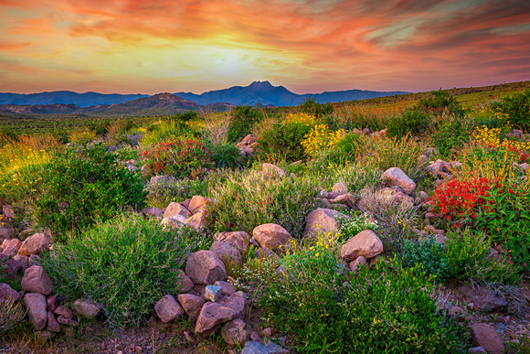 Lost Dutchman State Park, Arizona