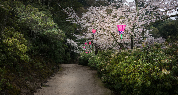 Mountain Path